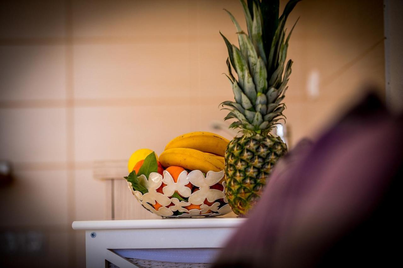 Apartments Marija أوكغوك غورنيي المظهر الخارجي الصورة